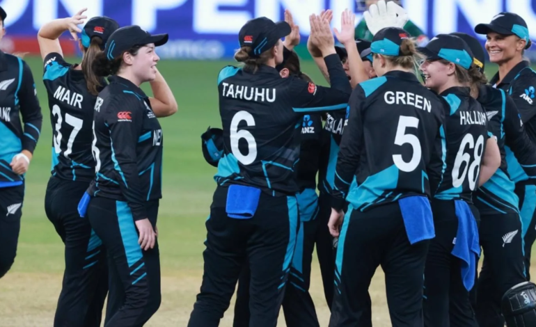 Women's t20 world cup semifinal 2