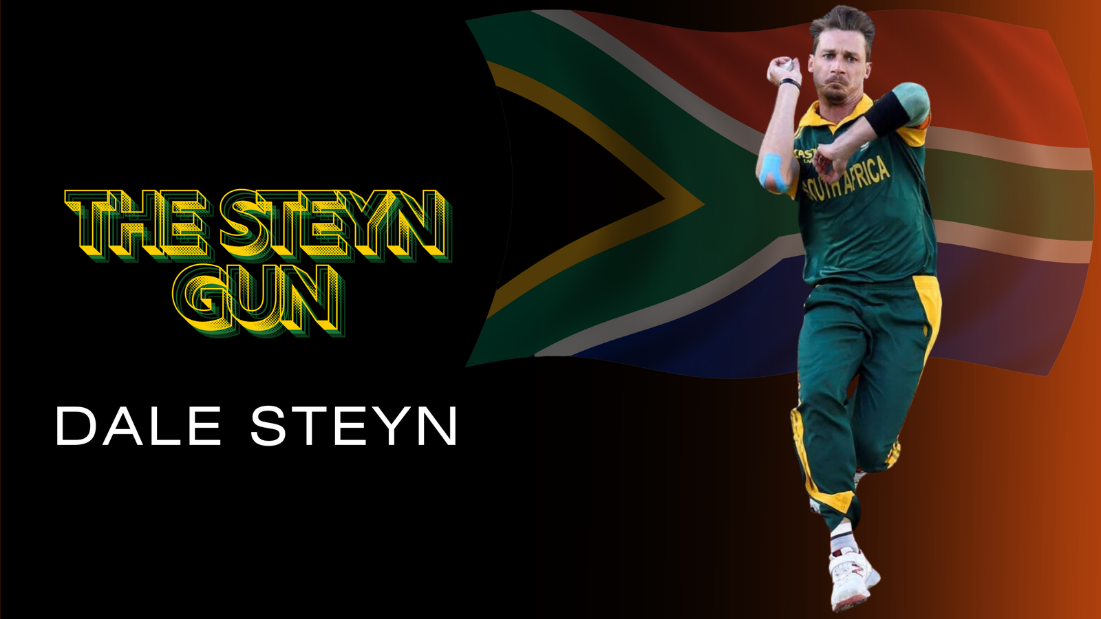 Dale Steyn